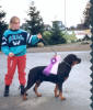 Oldefar (ganske ung her)Nuch Bittebit`s Amarock